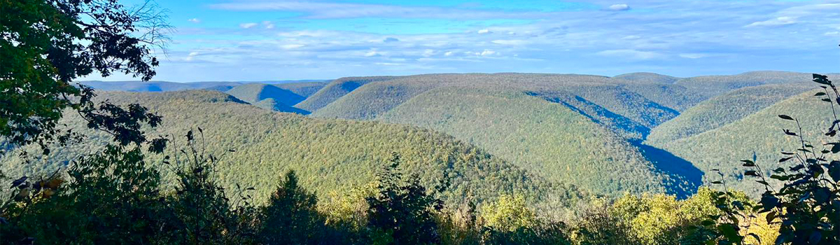 Area Guide in Slate Run, PA, Pine Creek_Hotel Manor
