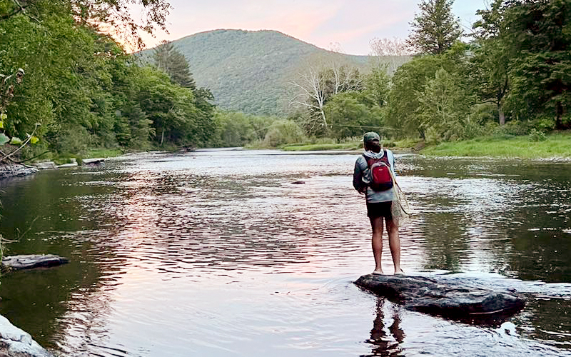 Stream Conditions on Pine Creek in Slate Run, PA_Hotel Manor